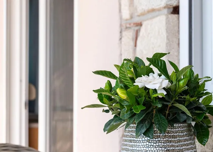 Silot 3 Apartamento Néa Fókaia