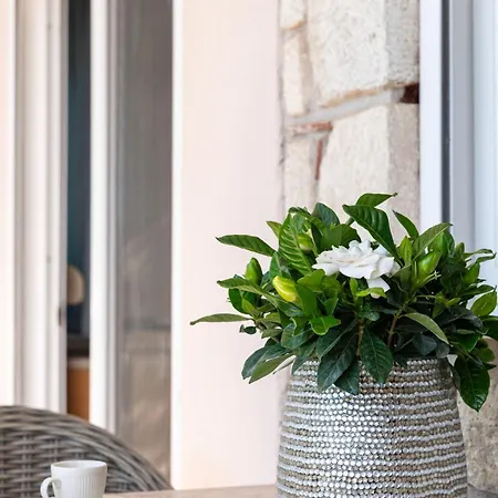 Silot 3 Lejlighed Néa Fókaia