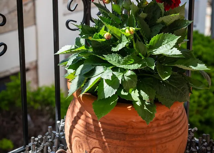 Silot 3 Appartamento